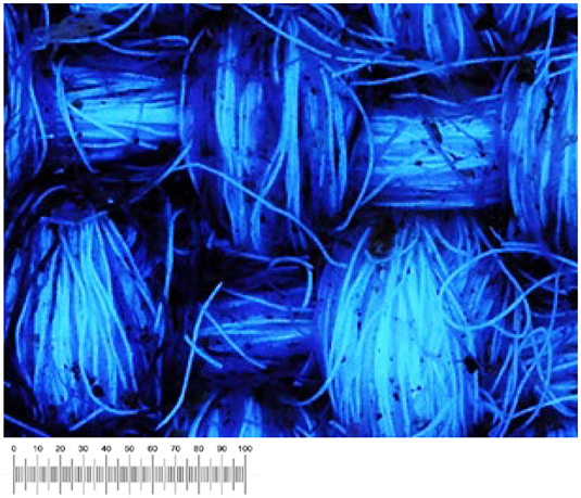 Heritage 07 00069 i040