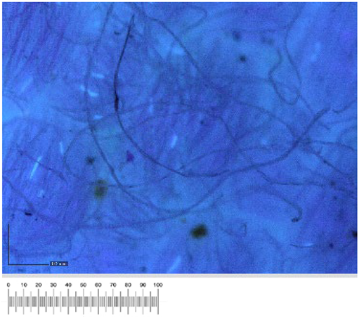 Heritage 07 00069 i045