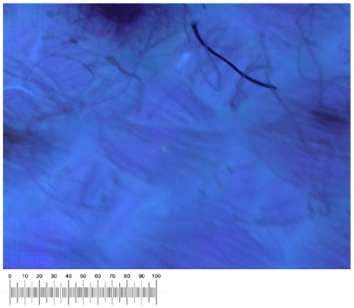 Heritage 07 00069 i047