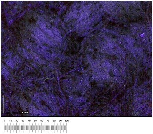 Heritage 07 00069 i049