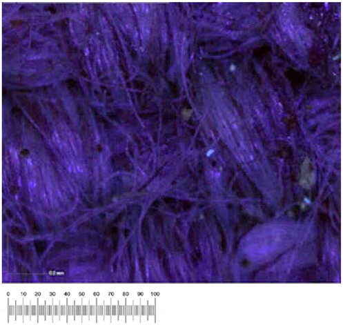 Heritage 07 00069 i050