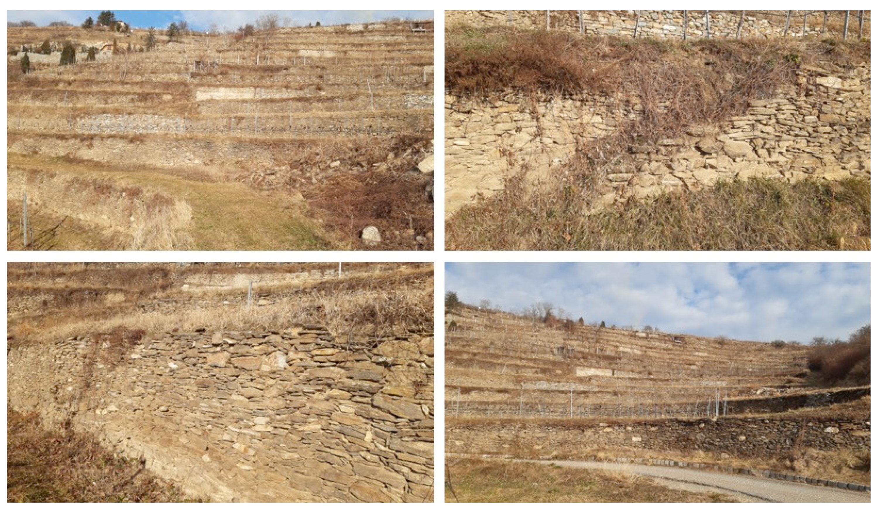 Heritage 07 00091 g005