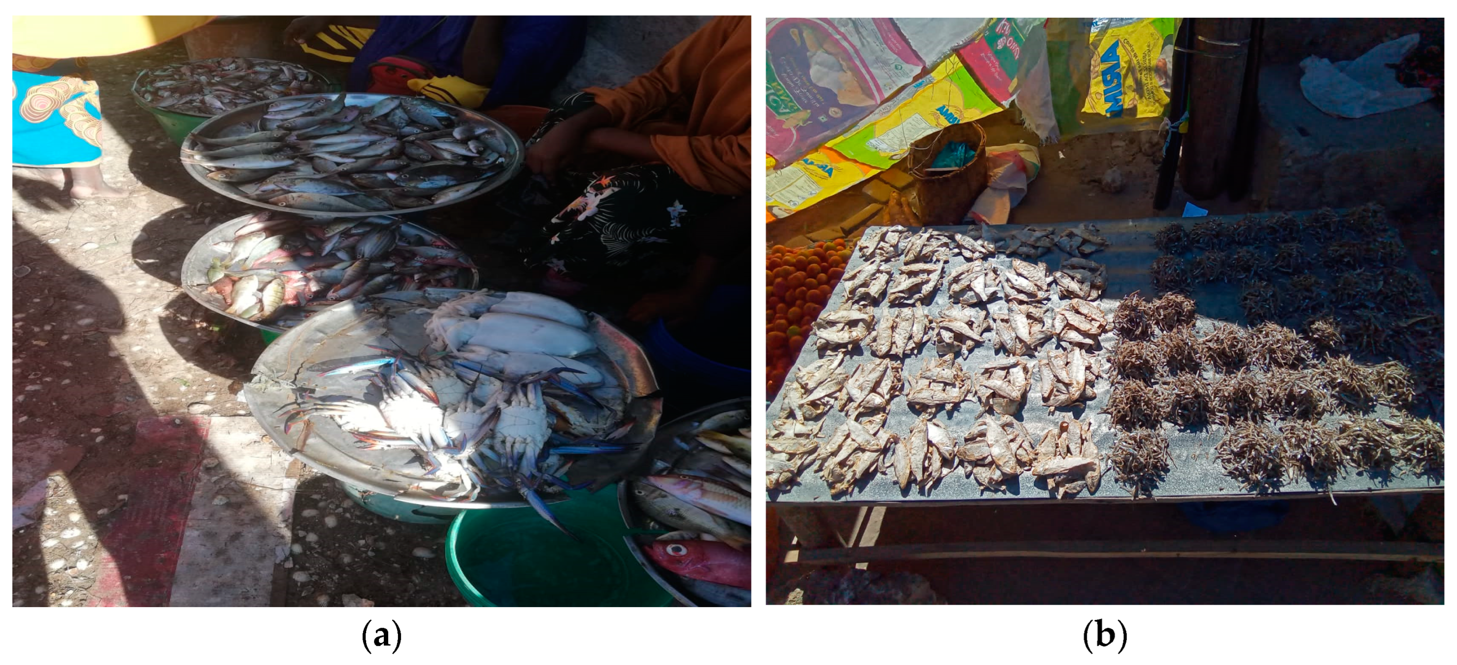 Heritage 07 00095 g007