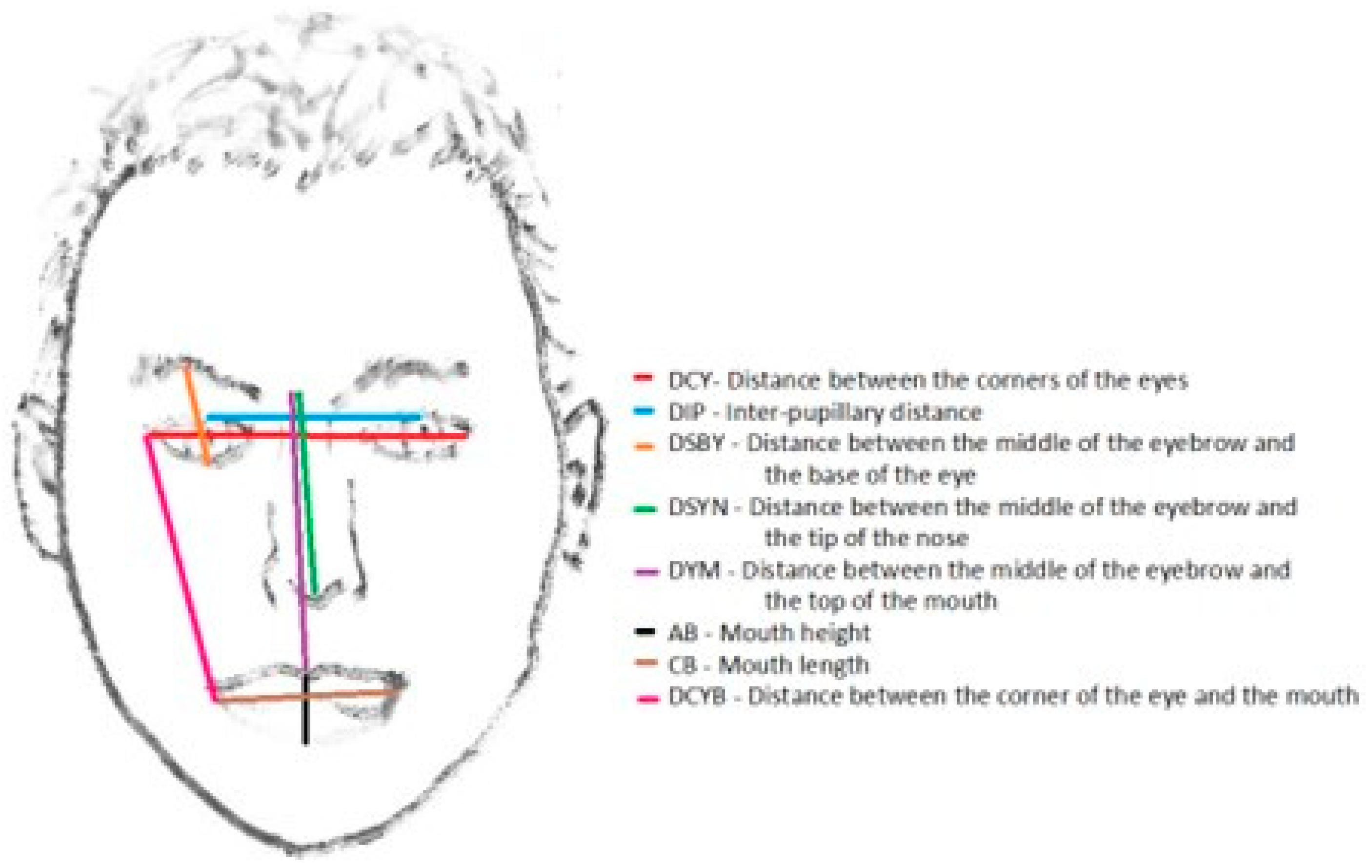 Heritage 07 00096 g003