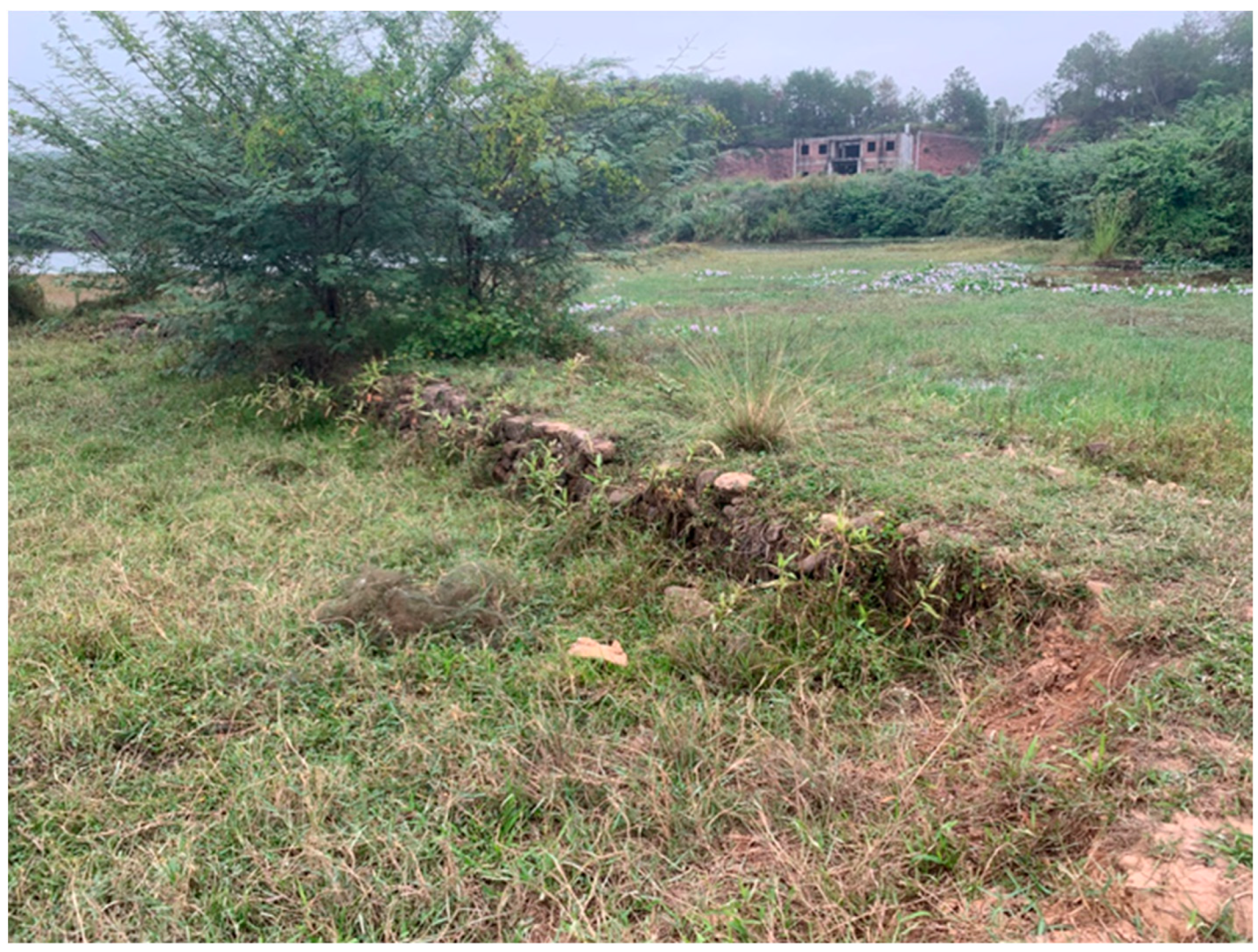 Heritage 07 00110 g009