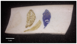 Heritage 07 00145 i001