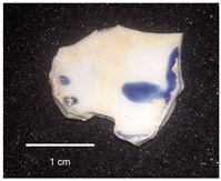 Heritage 07 00145 i002