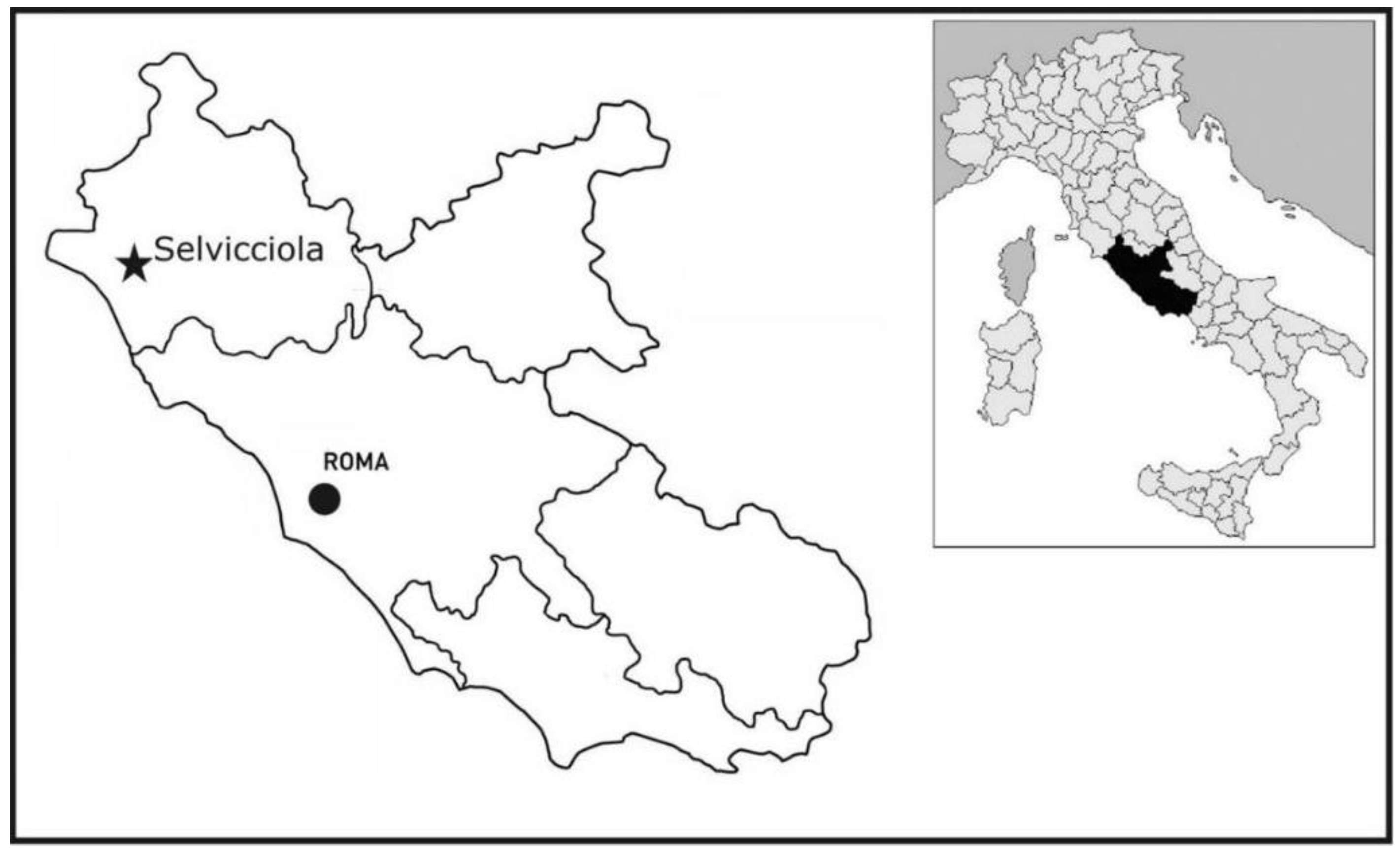 Heritage 07 00155 g001