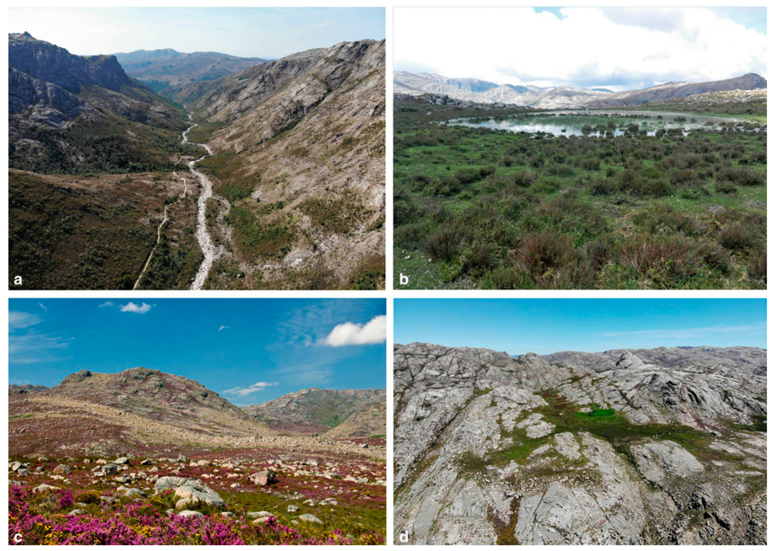 Heritage 07 00183 g009