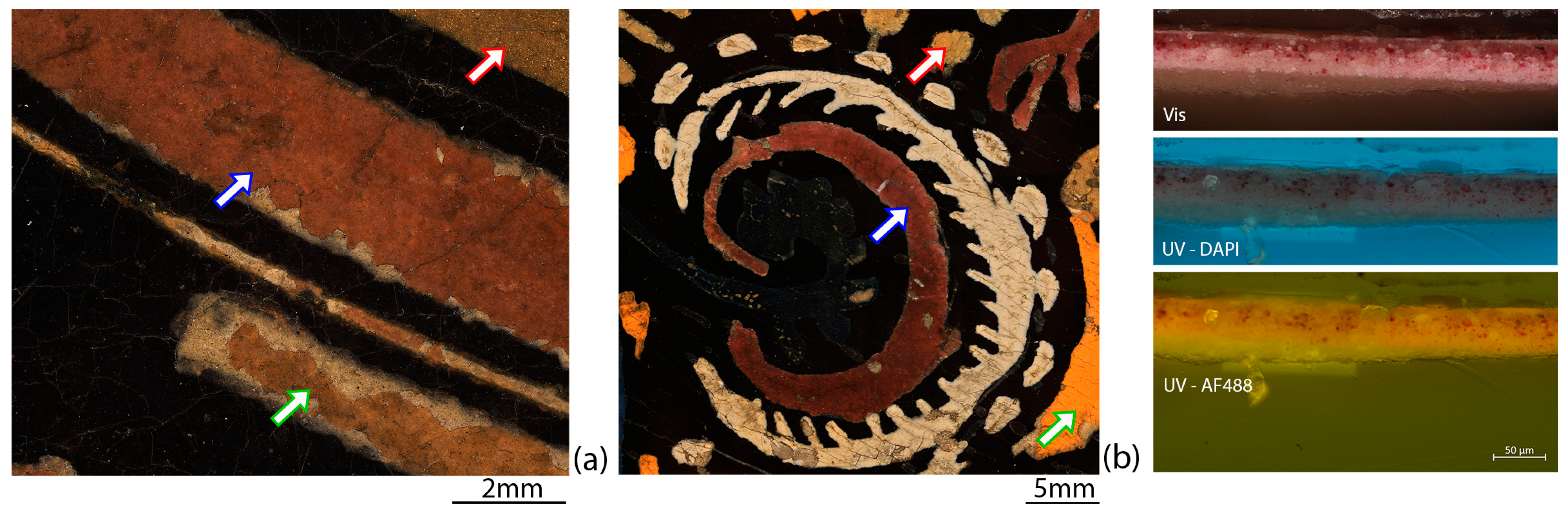 Heritage 07 00219 g010