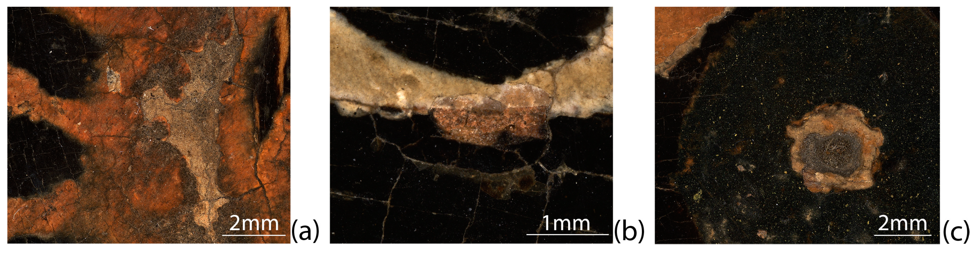 Heritage 07 00219 g014