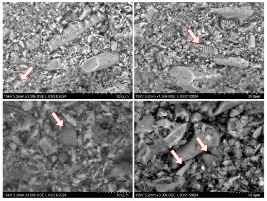 Heritage 07 00219 g0a2