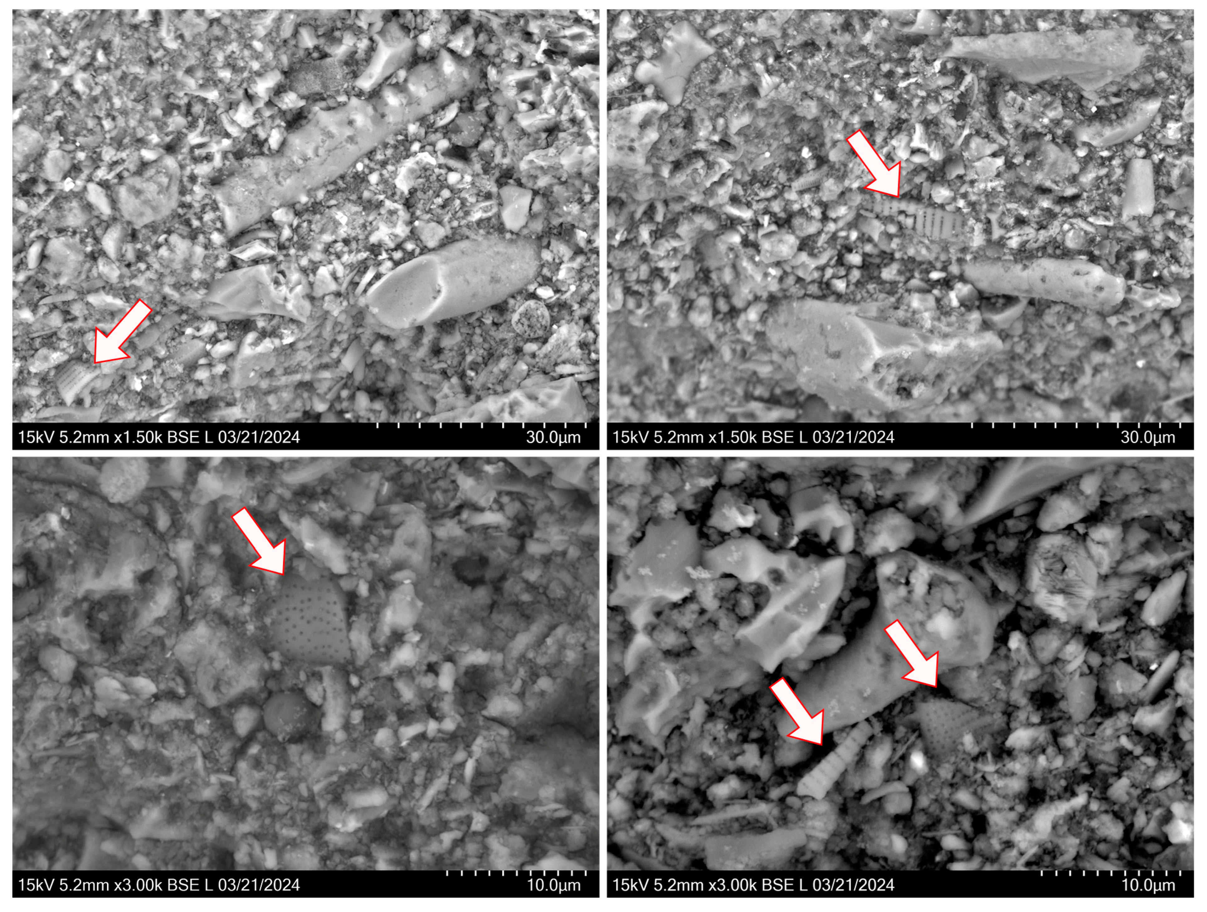 Heritage 07 00219 g0a2