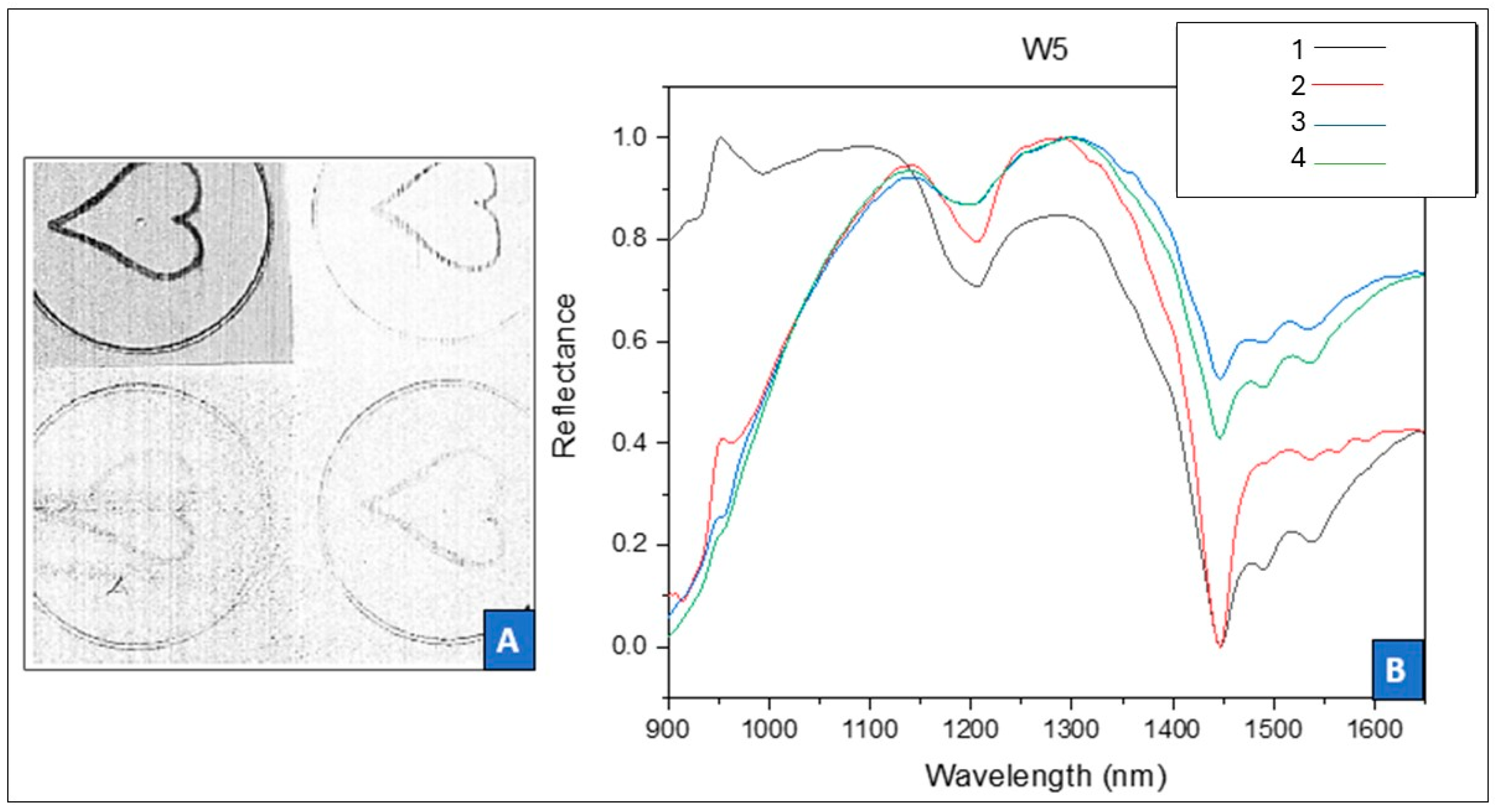 Heritage 07 00281 g005