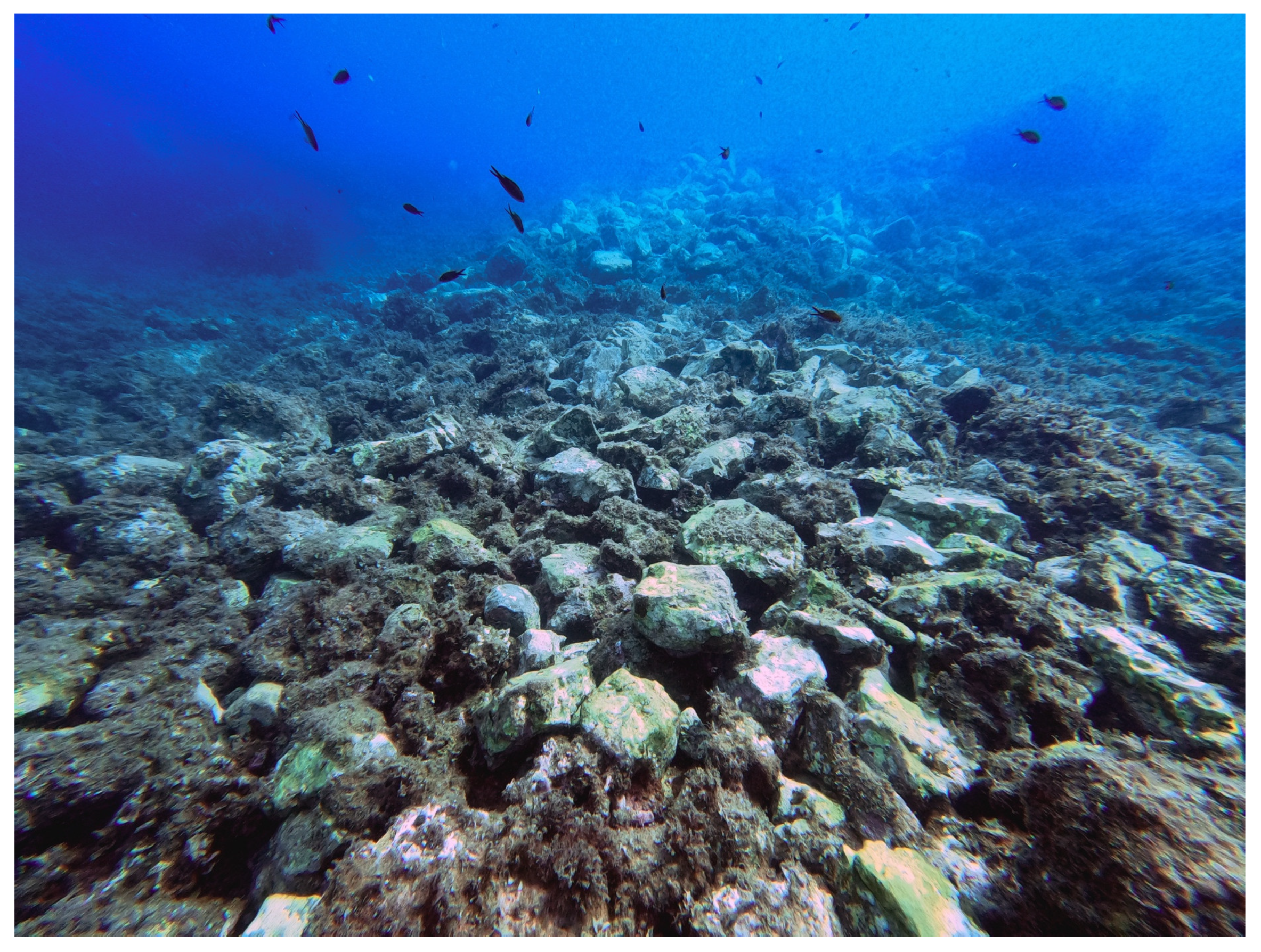 Heritage 07 00299 g018