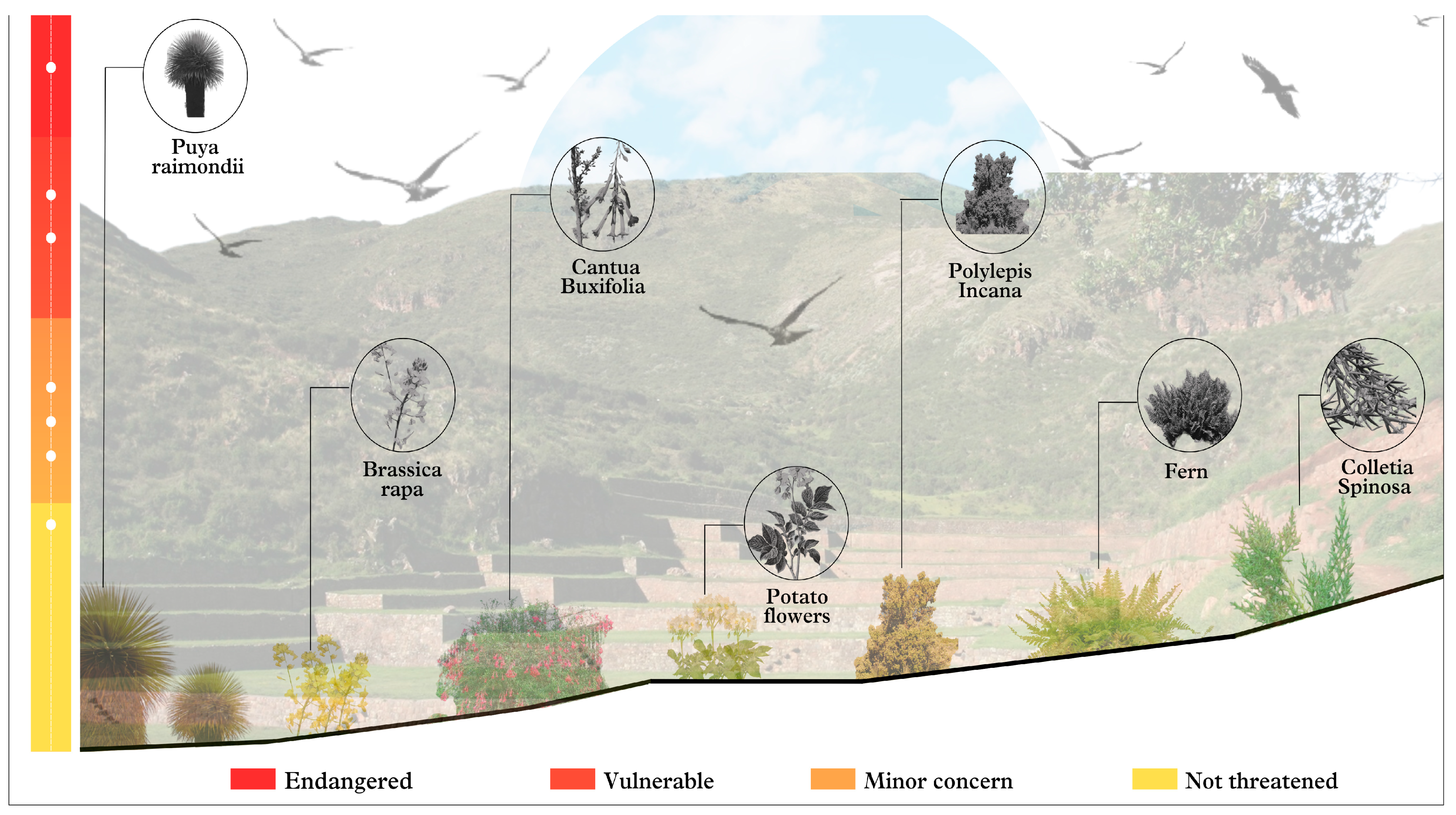 Heritage 07 00307 g011