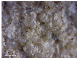 Heritage 07 00315 i002