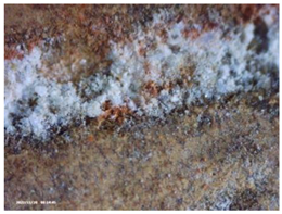 Heritage 07 00315 i004