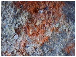 Heritage 07 00315 i006