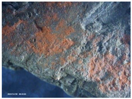 Heritage 07 00315 i008