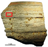 Heritage 07 00315 i009