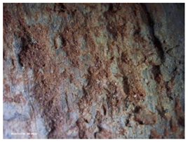 Heritage 07 00315 i010