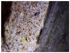 Heritage 07 00315 i012