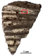 Heritage 07 00315 i013