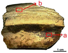 Heritage 07 00315 i015