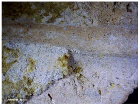 Heritage 07 00315 i023