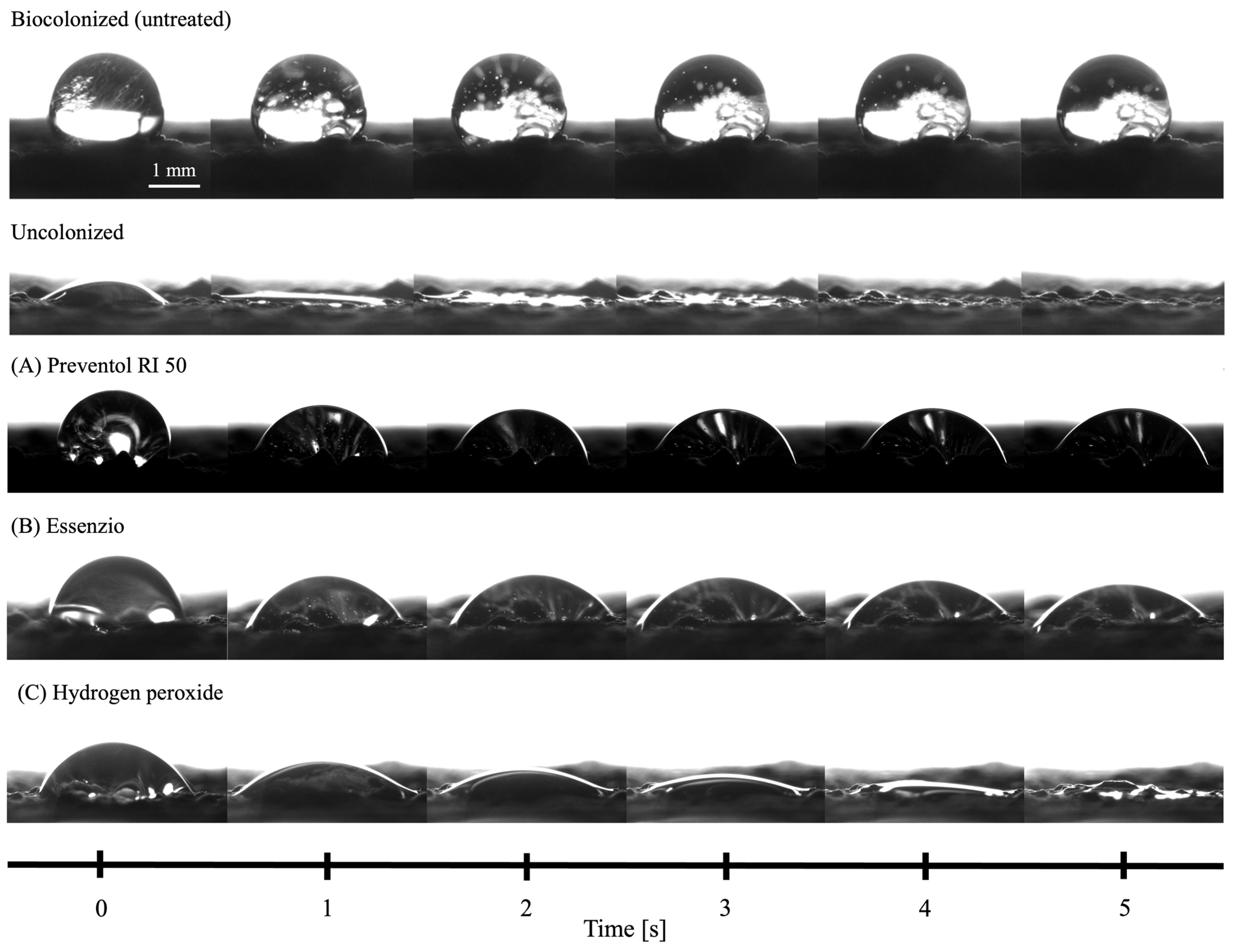 Heritage 07 00318 g006