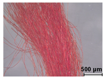 Heritage 08 00028 i002