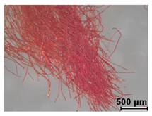 Heritage 08 00028 i003