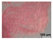 Heritage 08 00028 i004