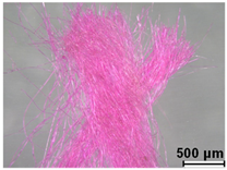 Heritage 08 00028 i008