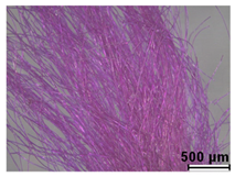 Heritage 08 00028 i009