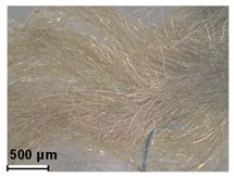 Heritage 08 00028 i010