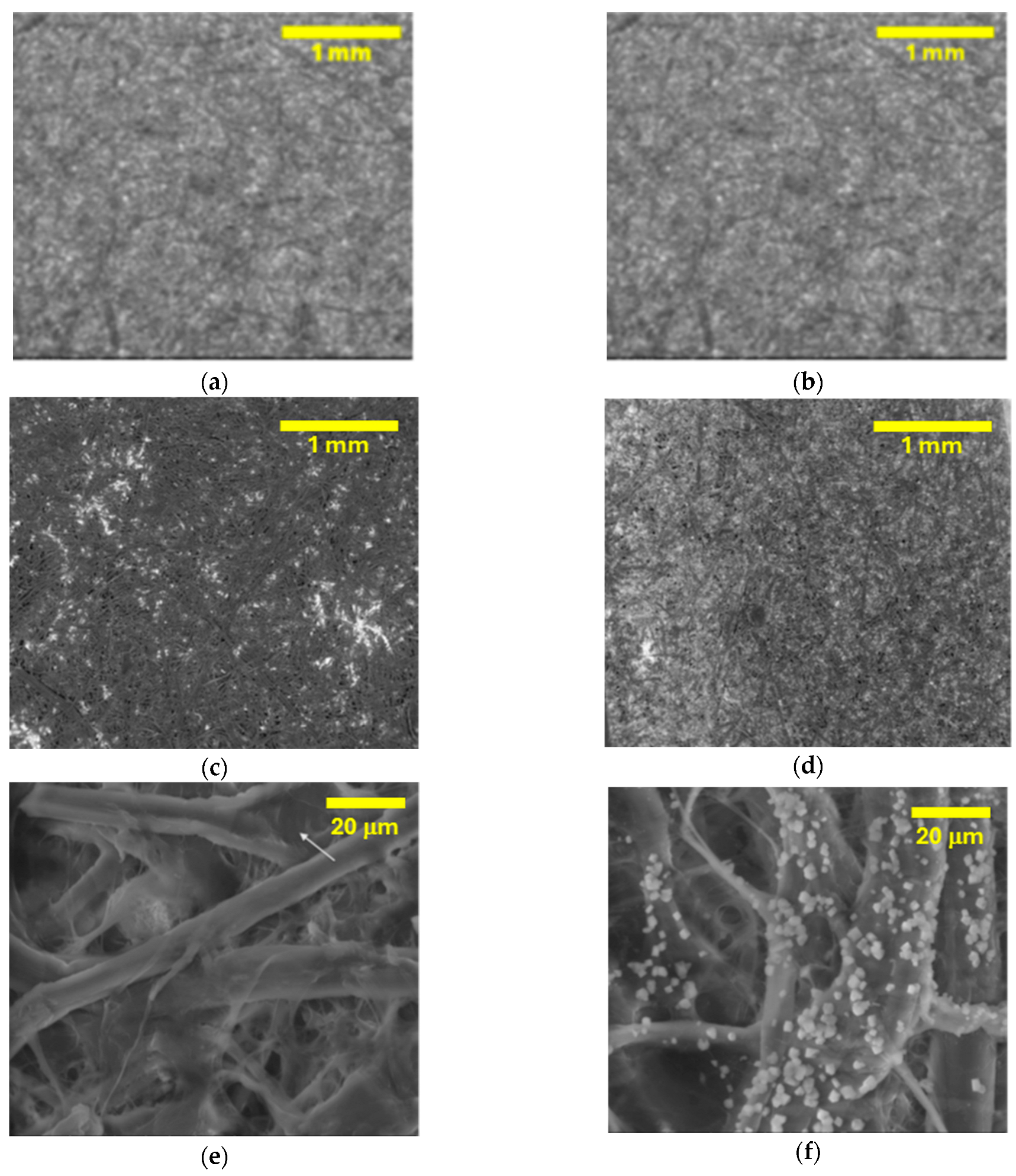 Heritage 08 00040 g006