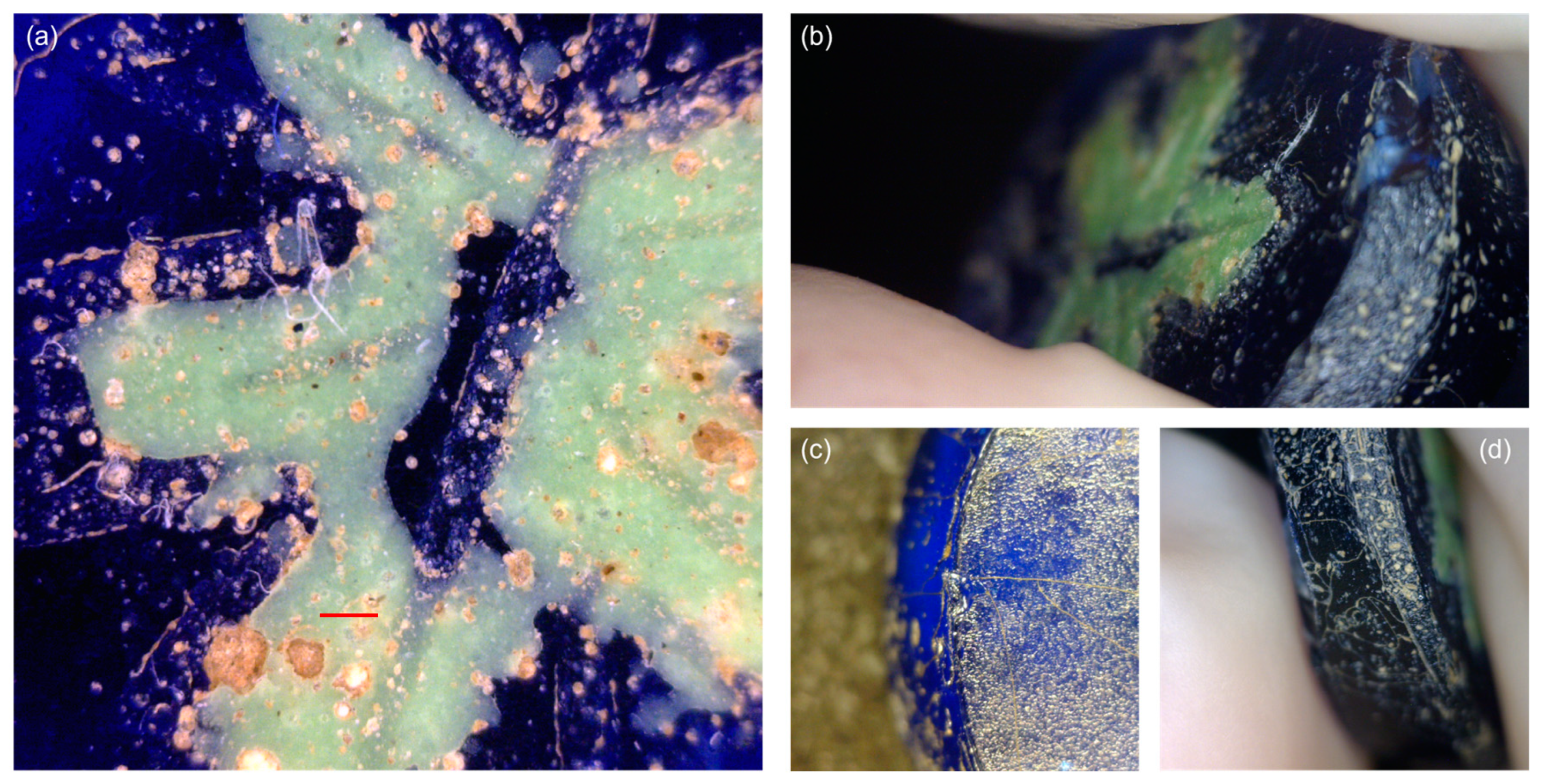 Heritage 08 00041 g002