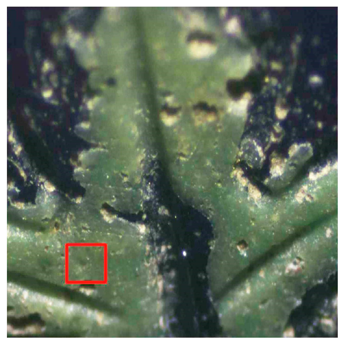 Heritage 08 00041 g005