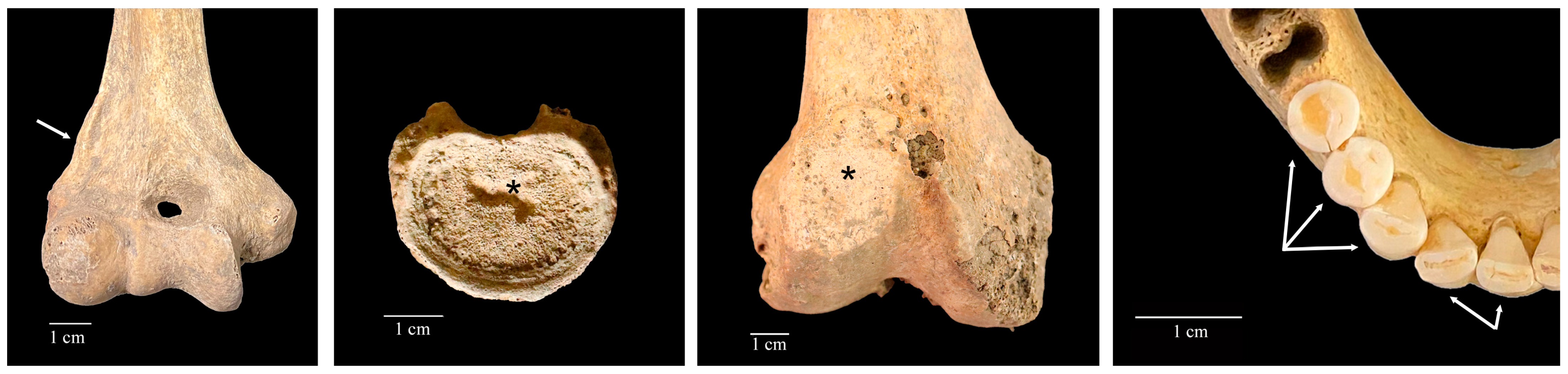 Heritage 08 00071 g003 Heritage 08 00071 g003