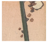 Heritage 08 00074 i009