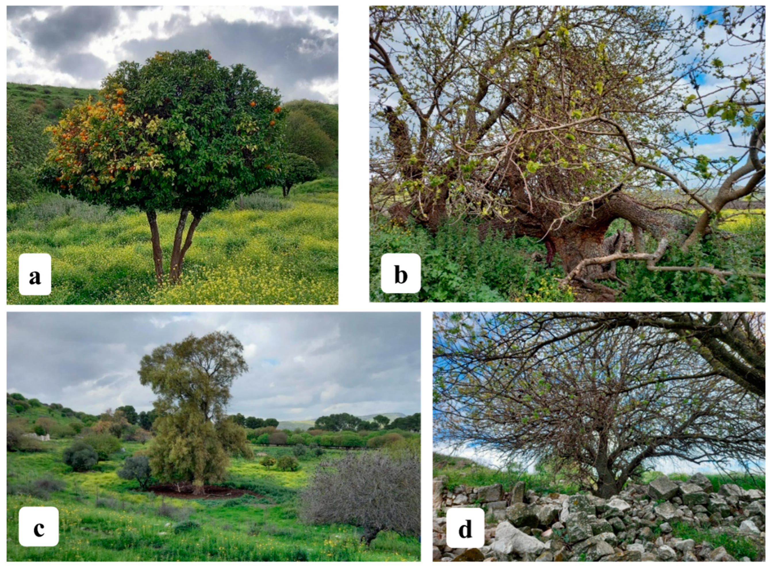 Heritage 08 00076 g002