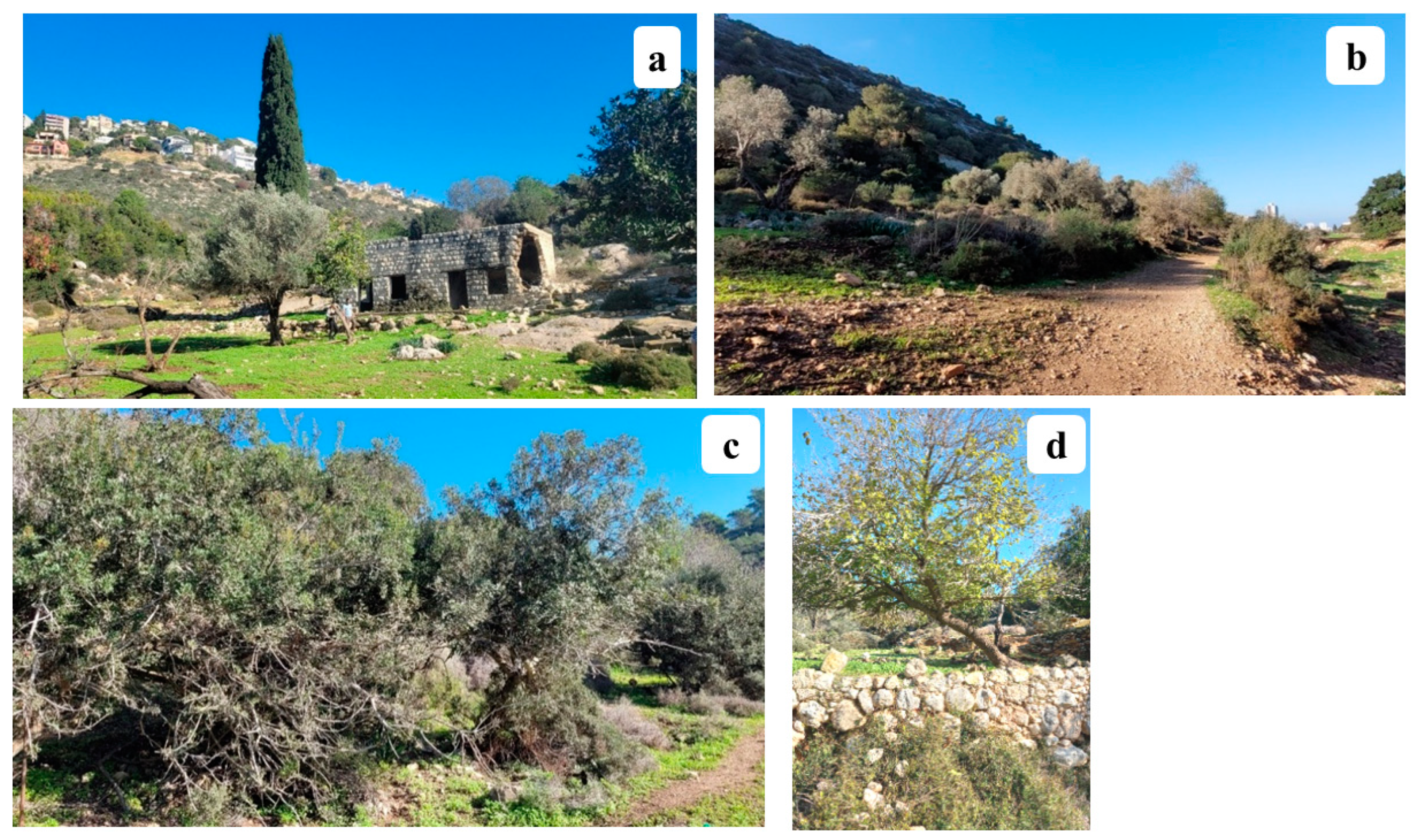 Heritage 08 00076 g003