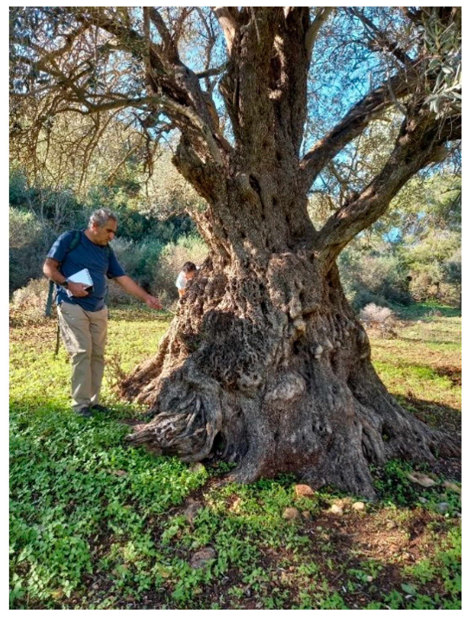 Heritage 08 00076 g007