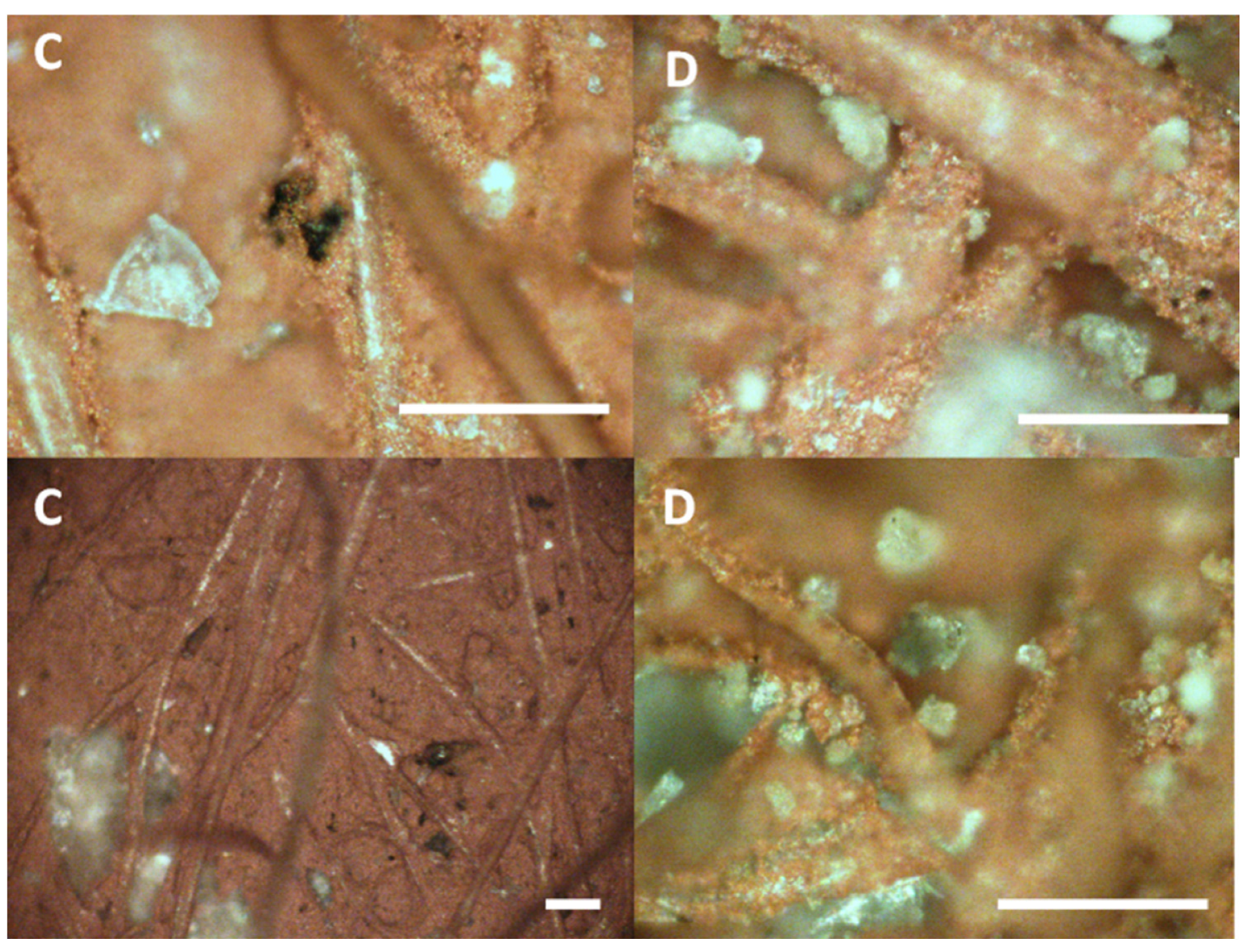 Heritage 08 00078 g007