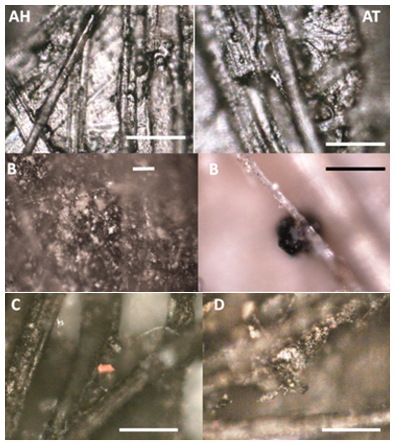 Heritage 08 00078 g009