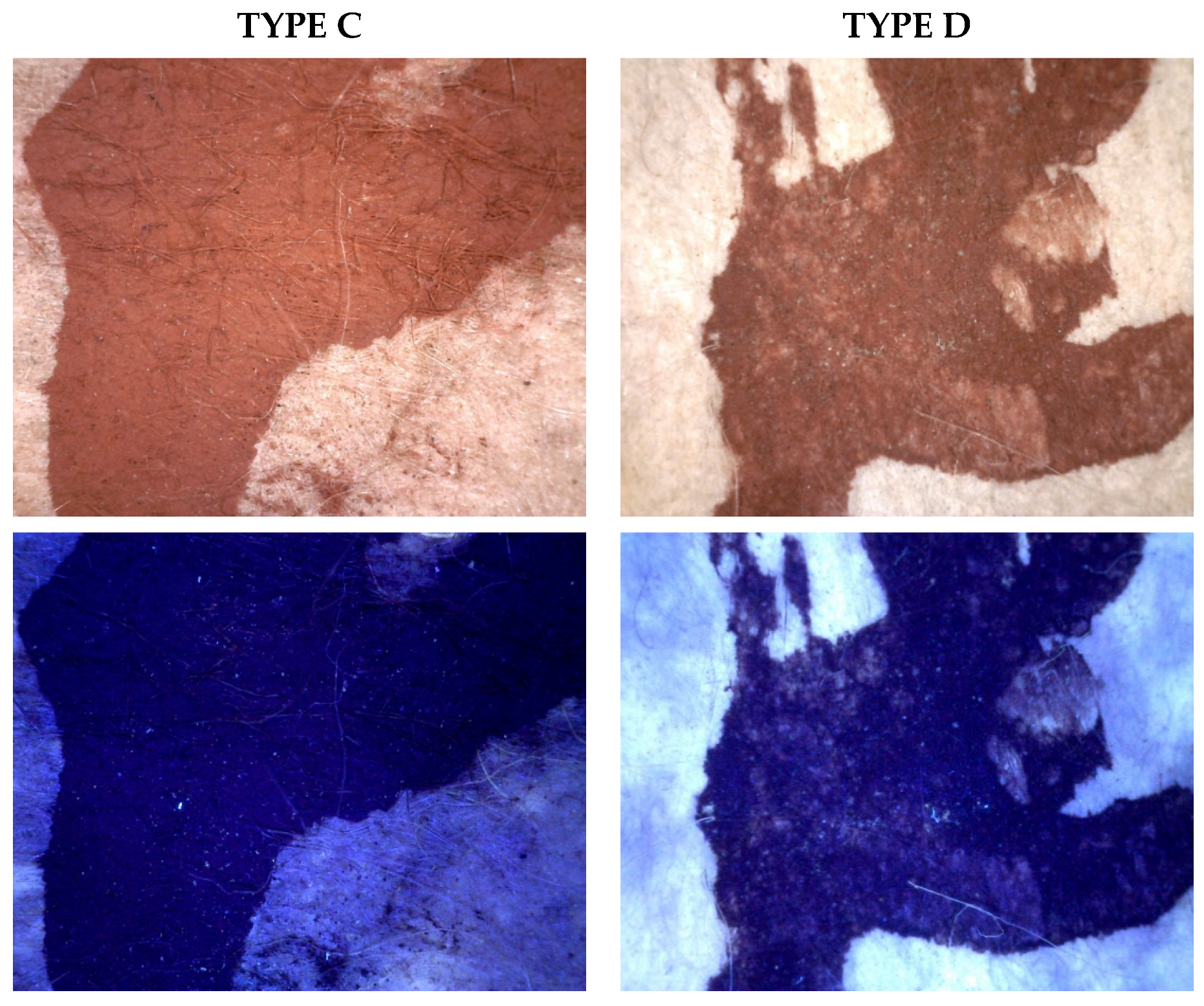 Heritage 08 00078 g012