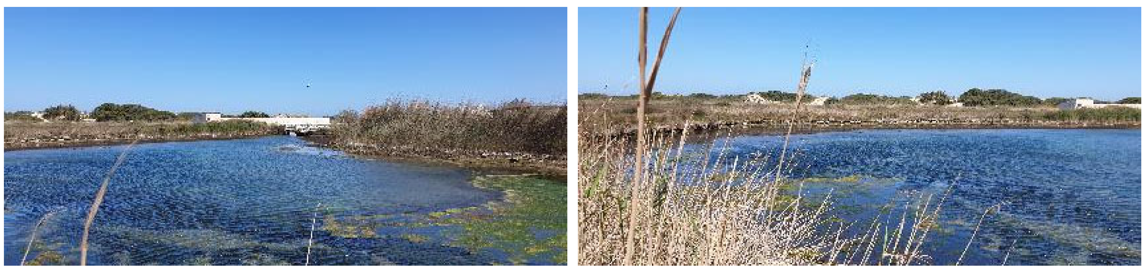 Heritage 08 00098 g001b