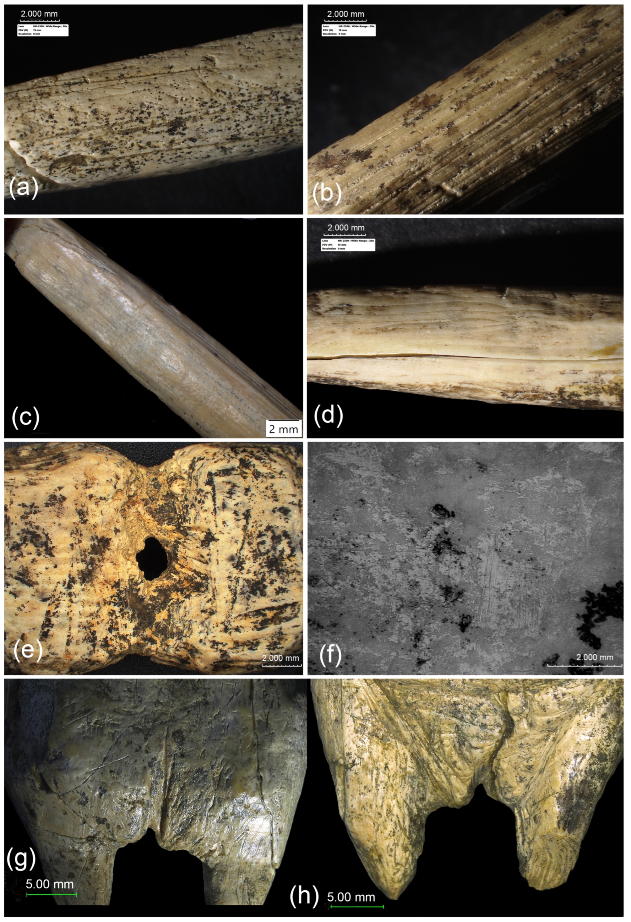 Heritage 08 00104 g009